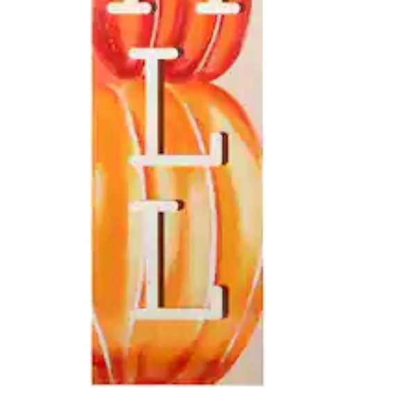 Fall decorations - Picture 6 of 6